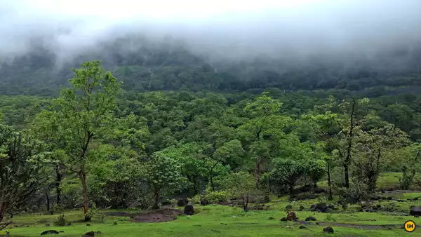 Bhimashankar Trek